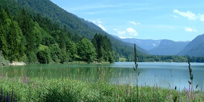 Essen-gehen - Ramsau (Faistenau) - Der Hintersee ist nur 10 Gehminuten entfernt, die Umrundung dauert gemütlich ca. 1,5 Stunden für 5 km. - Landgasthof Fischerwirt