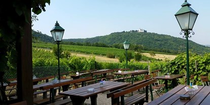 Essen-gehen - grüner Gastgarten - Österreich - Terrasse mit wunderschönen Wien/Donau Ausblick bei Heuriger Sirbu -  Heuriger Sirbu