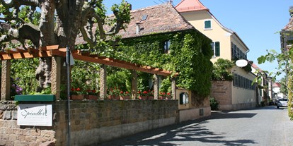 Essen-gehen - grüner Gastgarten - Bad Dürkheim - Straßenansicht mit alter Platane an der Ecke - Gutsausschank Spindler