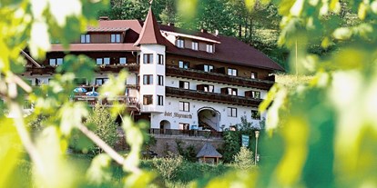 Essen-gehen - Preisniveau: €€€ - Steiermark - Hotel Restaurant Stigenwirth - Steirische Krakau
große Sonnenterasse , bis 200 Sitzplätze, für Busse, Biker , Familienfeiern 
geeignet. - Hotel Restaurant Stigenwirth