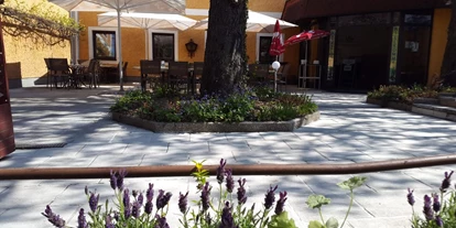 Essen-gehen - Sitzplätze im Freien - Pichl bei Wels - Unser schattiger Gastgarten mit alten Kastanienbäumen. - Gasthaus Wirt in Strass