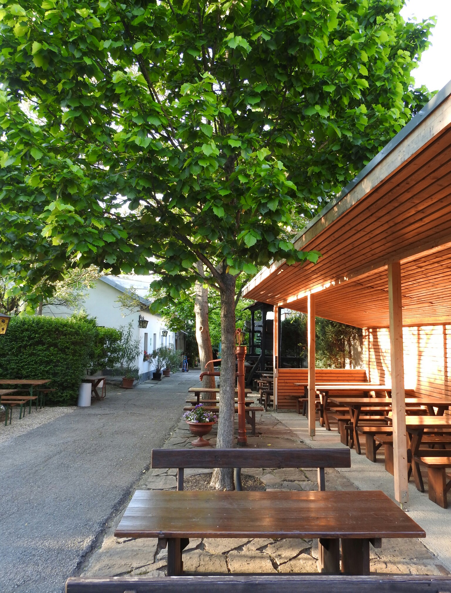 Restaurant - Buschenschank Grausenburger - Buschenschank Grausenburger