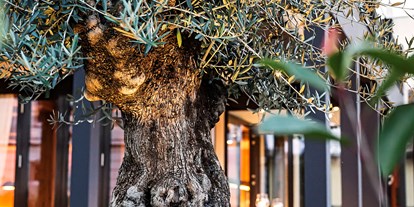 Essen-gehen - Falstaff: 1 Gabel - Olivenbaum - Terra Rossa