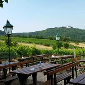 Restaurant - Terrasse mit wunderschönen Wien/Donau Ausblick bei Heuriger Sirbu -  Heuriger Sirbu