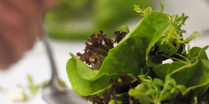 Essen-gehen - grüner Gastgarten - Kleinboden (Fügen, Uderns) - Superfood Salat mit Avocado, Gojibeeren - Wedelhütte
