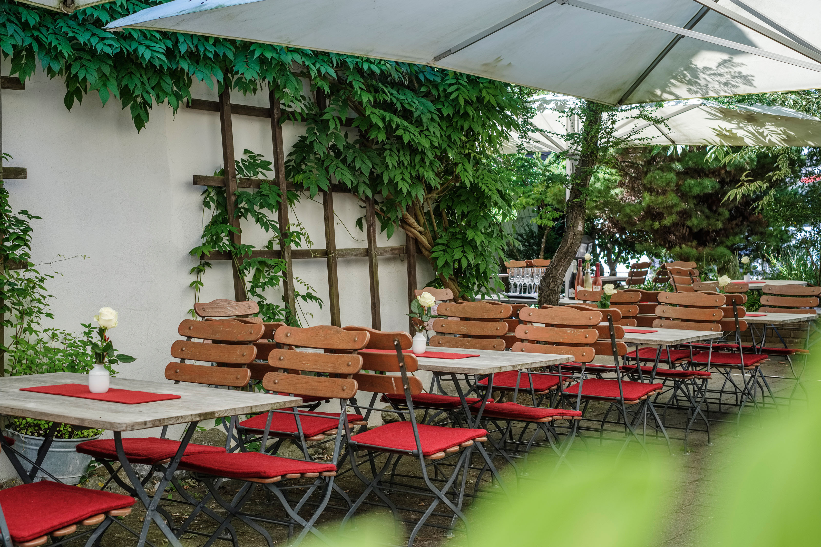 Restaurant: Der BIO-Adler