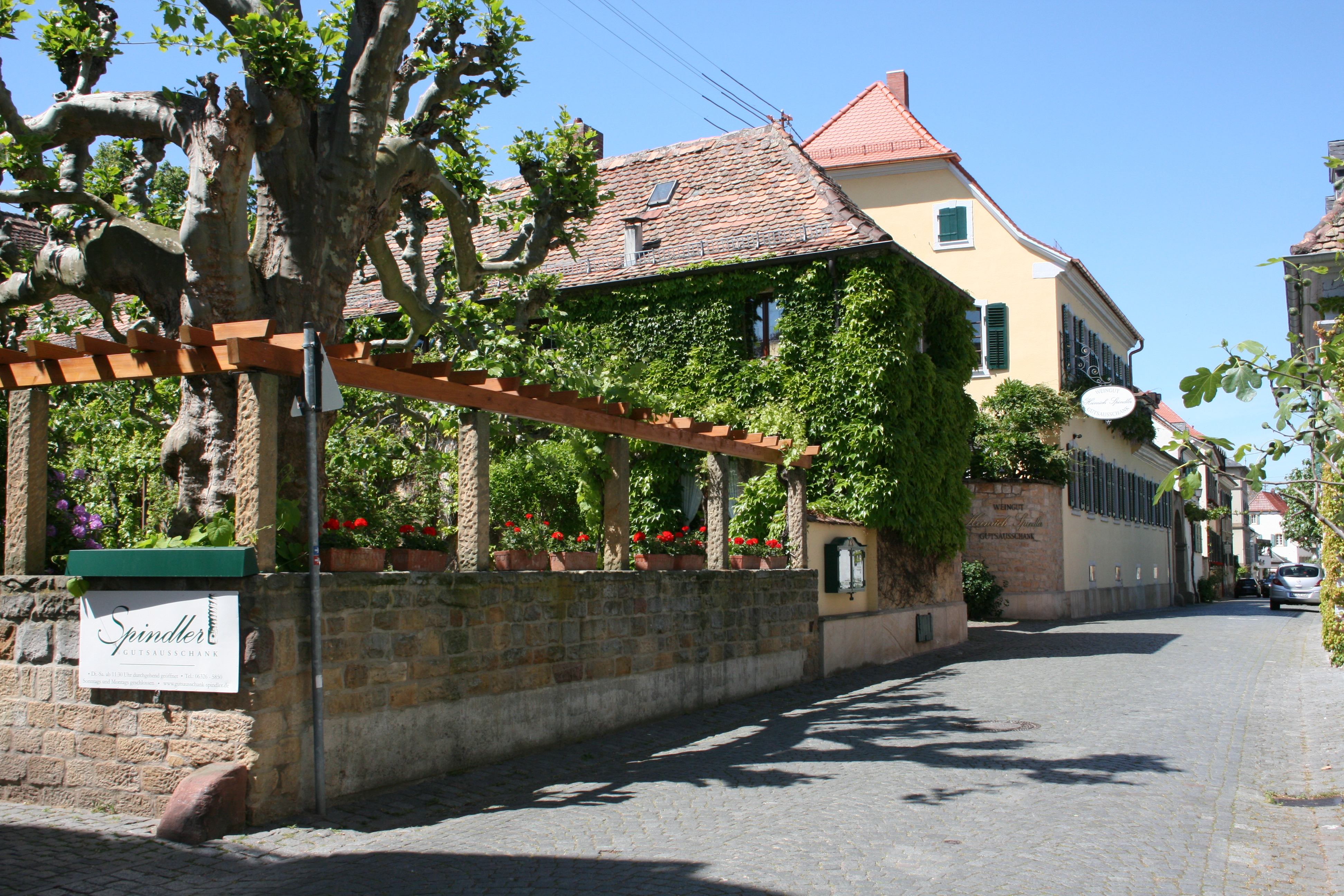 Restaurant: Straßenansicht mit alter Platane an der Ecke - Gutsausschank Spindler