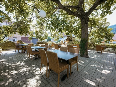Restaurant: Gourmet Restaurant Terrasse - Restaurant Altes Kelterhaus & Plein Hotel by Markus Plein