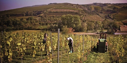 Essen-gehen - Ambiente: klassisch - Weinberge - Espenhof