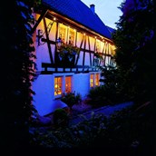 Restaurant - Alte Bergmühle