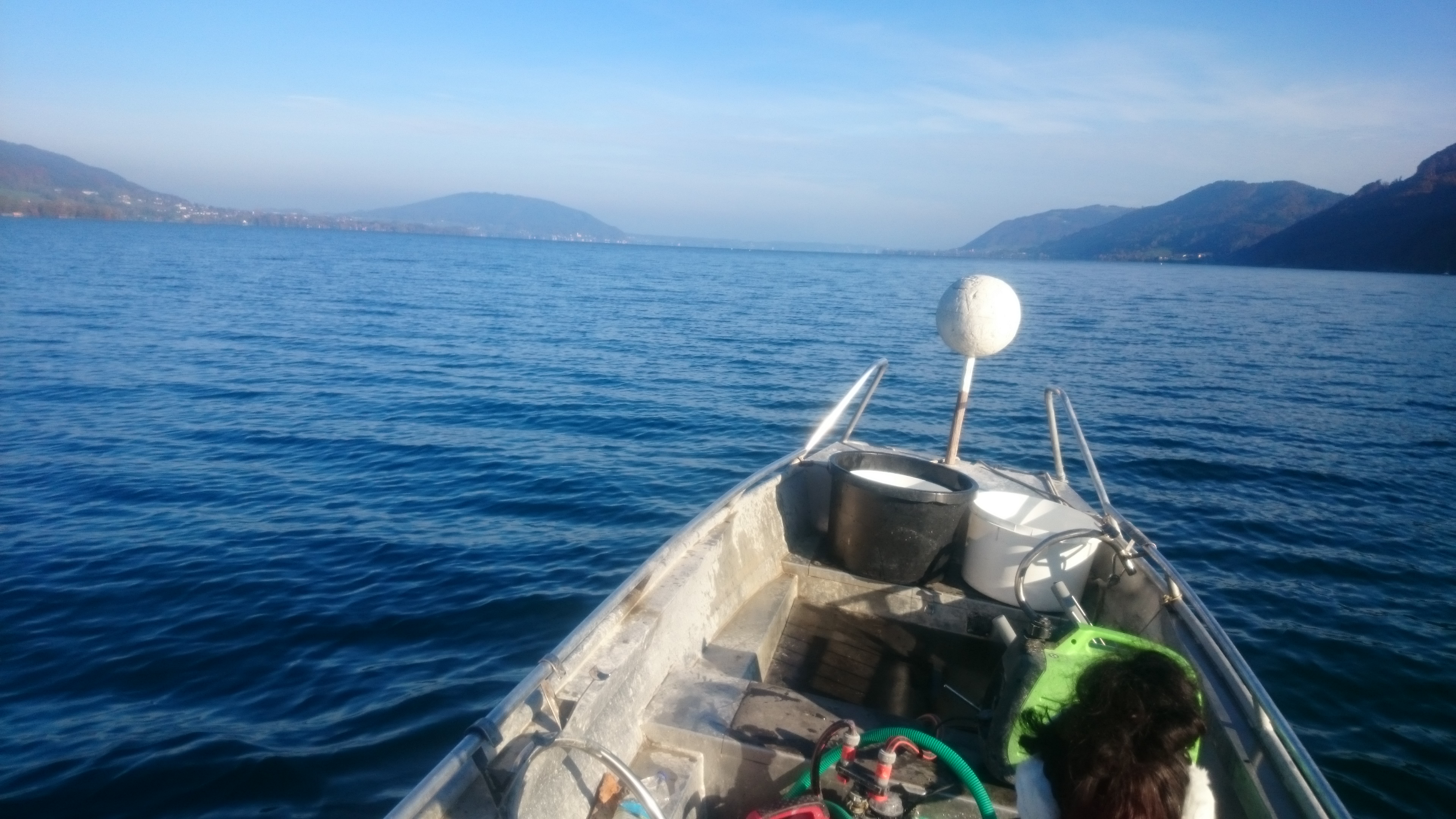 Essen-gehen - Gerichte: Hausmannskost - Zum Fischer Heinz