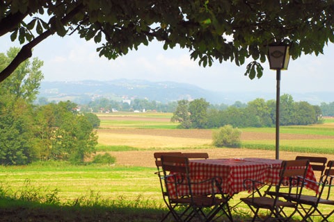 Essen-gehen - Oberösterreich - Reif