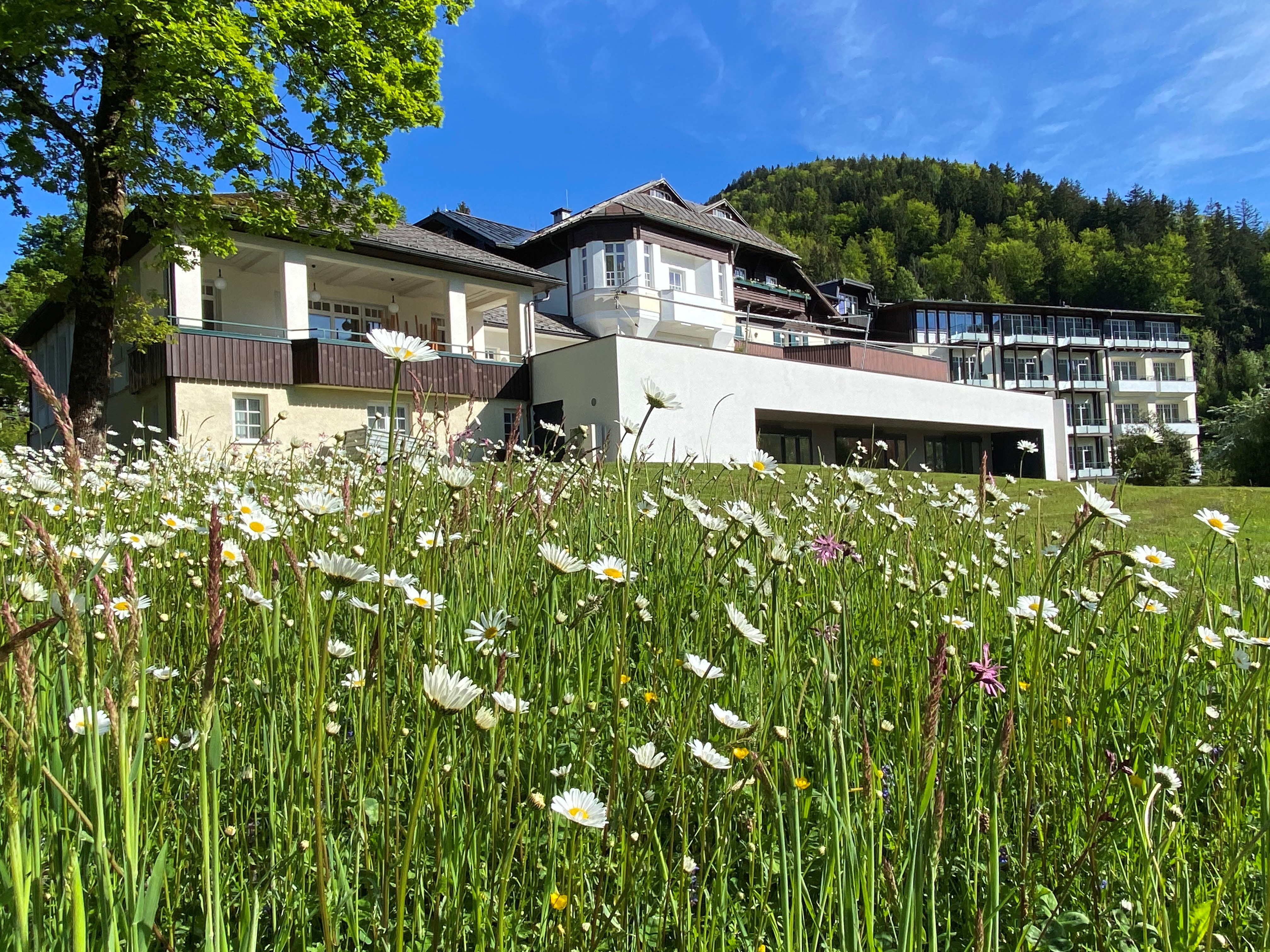 Restaurant: Hotelansicht - Seehotel Billroth