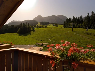 Restaurant: Genießen Sie die tolle Aussicht von den Zimmern oder von der Terasse.  - Landhotel Gasthaus Traunstein