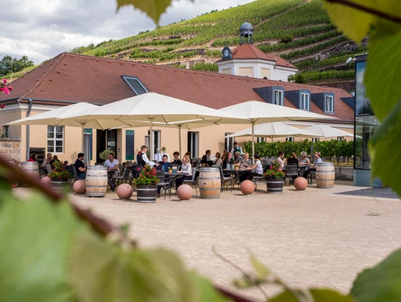 Restaurant: Gasthaus Schloss Wackerbarth - Gasthaus Schloss Wackerbarth