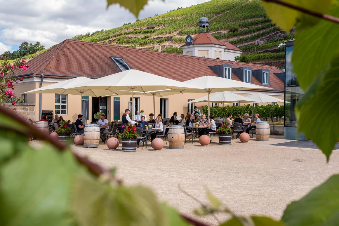 Restaurant: Gasthaus Schloss Wackerbarth - Gasthaus Schloss Wackerbarth