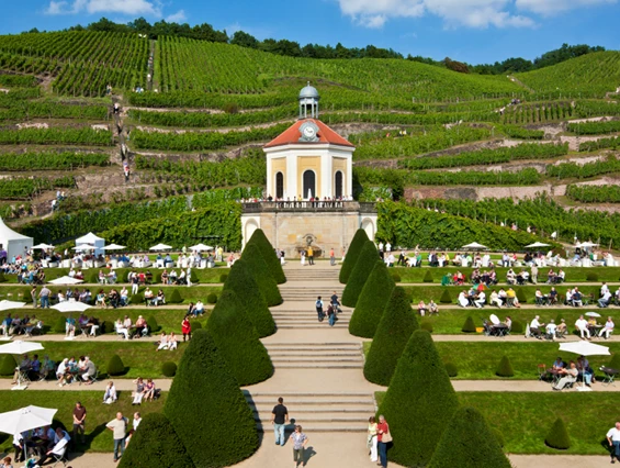 Restaurant: Weingarten von Schloss Wackerbarth - Gasthaus Schloss Wackerbarth