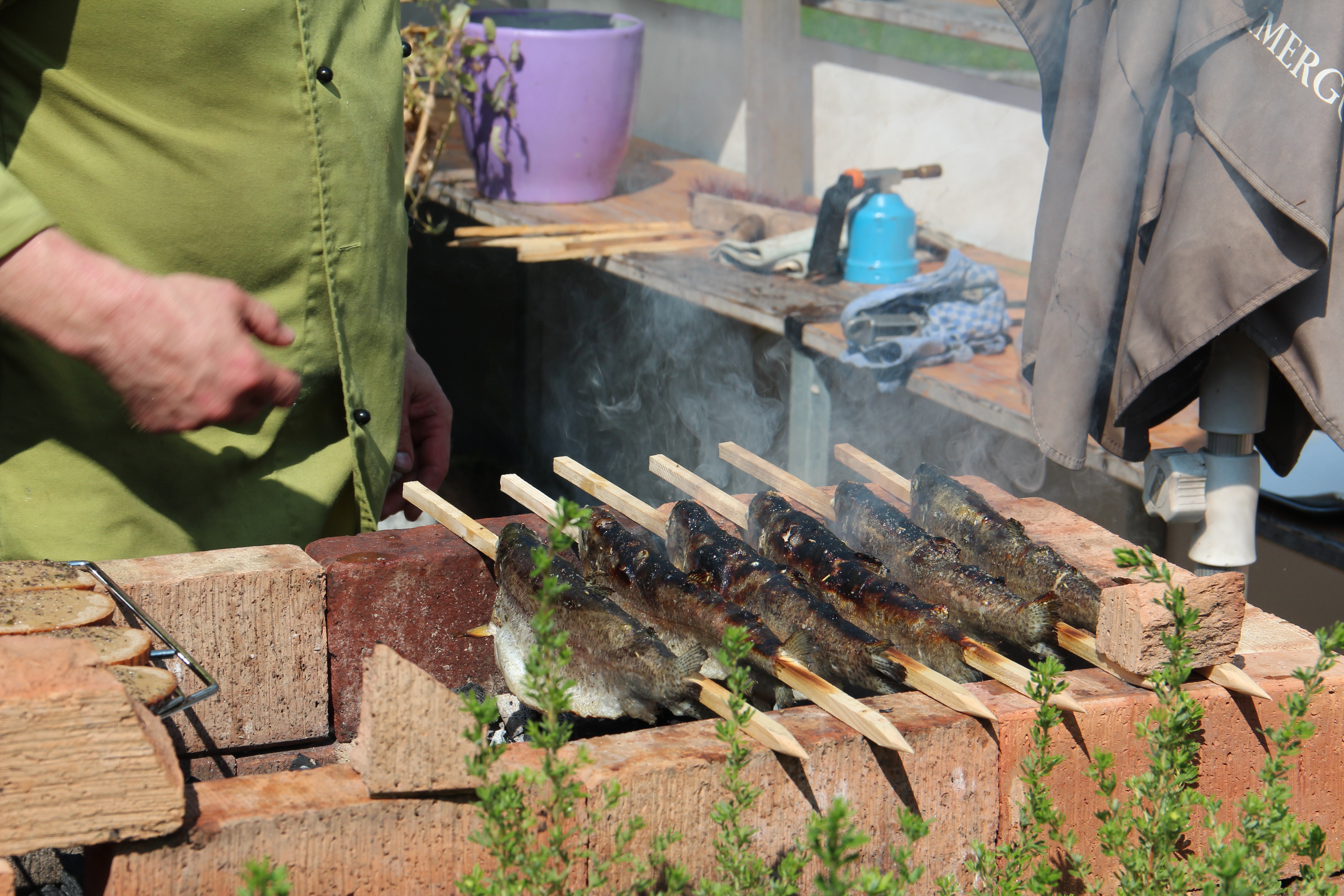 Essen-gehen - PLZ 5310 (Österreich) - Steckerlfische Fische aus dem Salzkammergut - Naturkuchl