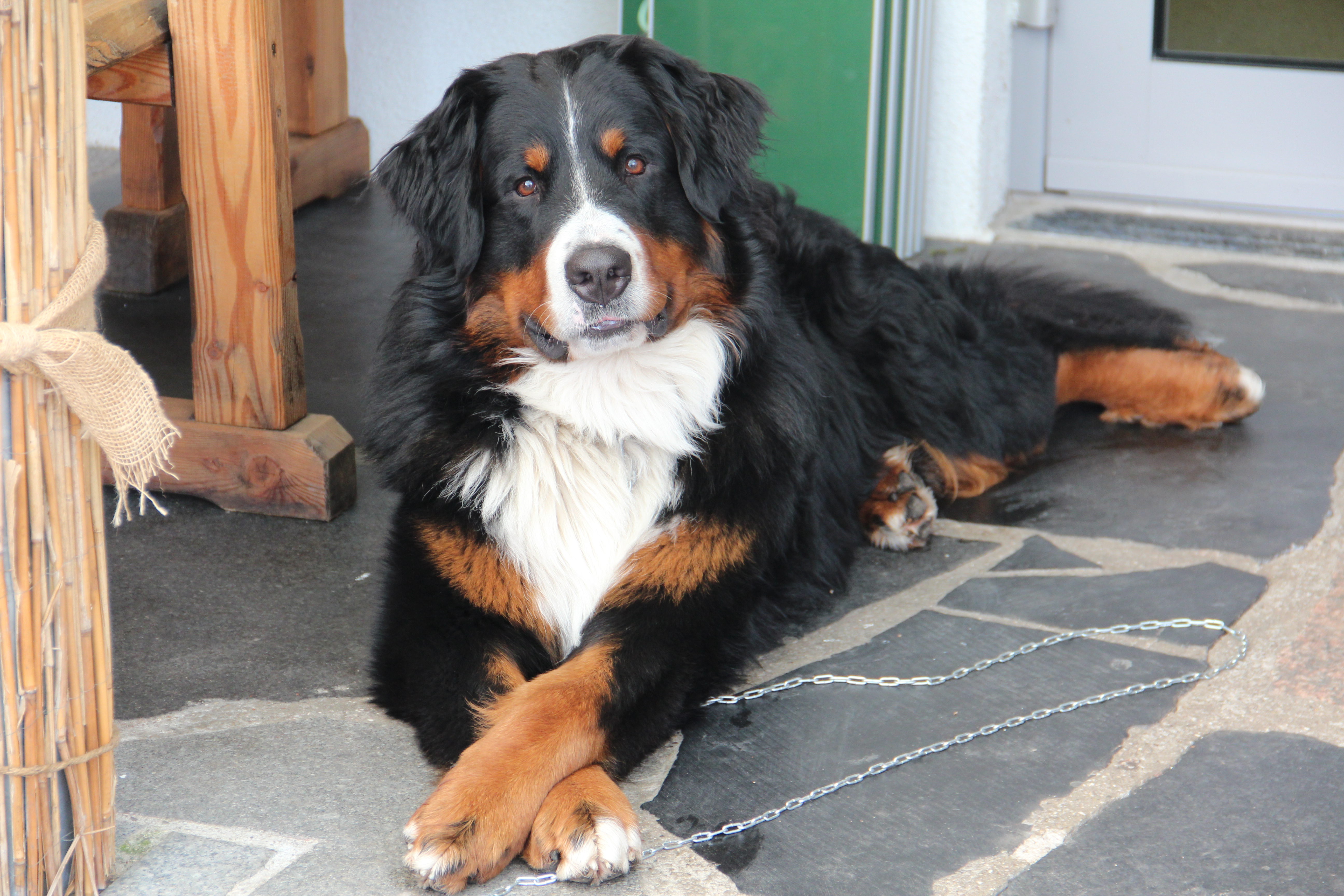 Essen-gehen - PLZ 5310 (Österreich) - unser Bertl - Naturkuchl