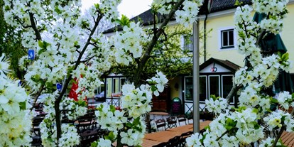 Essen-gehen - Sitzplätze im Freien - Großamberg (Gramastetten, Puchenau) - Schiefer Apfelbaum