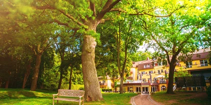 Essen-gehen - Ambiente: klassisch - Kurhausgarten - Restaurant "Schröders" im Kurhaus am Inselsee