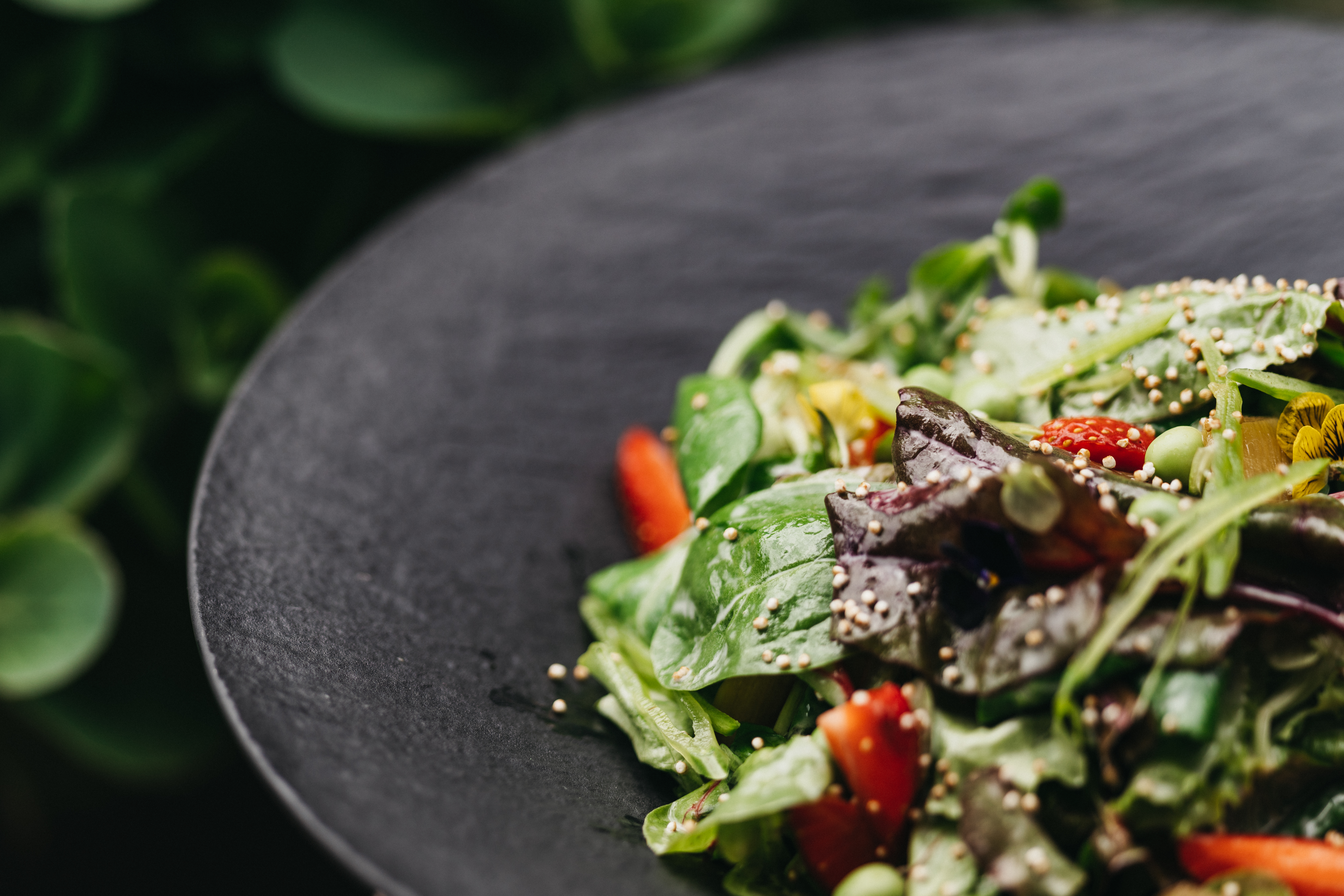 Restaurant: Sommersalat - Johann GENUSSraum