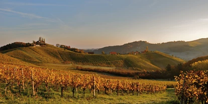 Essen-gehen - PLZ 8423 (Österreich) - Riede Hochstermetzberg - Weingut - Wirtshaus Maitz Wolfgang