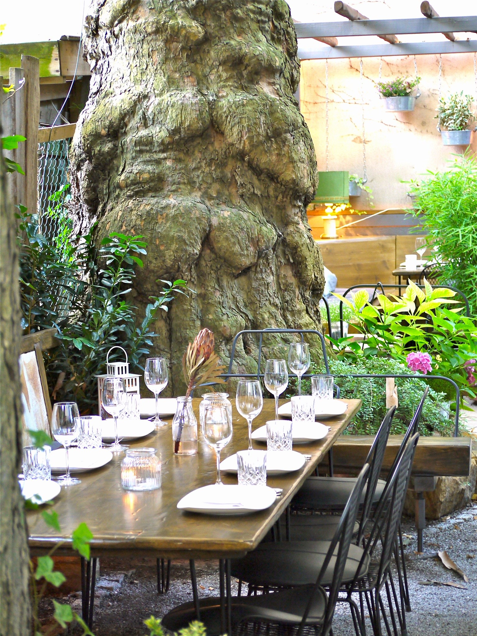 Restaurant: Heimlich Treu