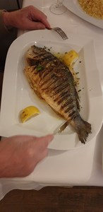 Essen-gehen - Berlin-Stadt - Georgios Restaurant