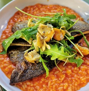 Essen-gehen - Klagenfurt - Kochwerkstatt