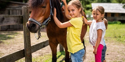 Essen-gehen - Ambiente: klassisch - Trattlers Ponyfarm im Sommer - Trattlers Einkehr