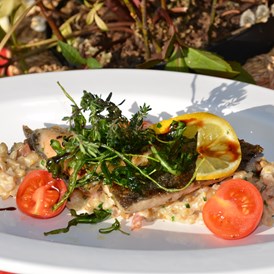 Restaurant: genussvolle Slow Food Kulinarik in Trattlers Einkehr - Trattlers Einkehr
