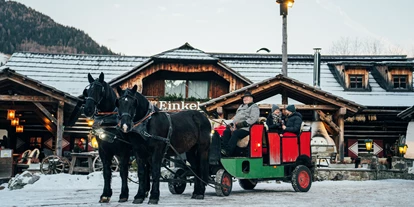Essen-gehen - Ambiente: klassisch - Pferdekutschen-Erlebnisfahrten mit Candle-Light Dinner in Trattlers Einkehr - Trattlers Einkehr