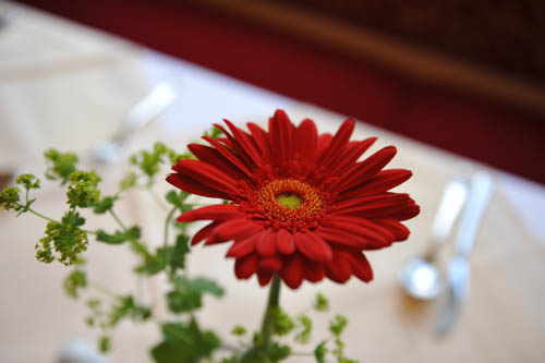 Essen-gehen - Gerichte: Hausmannskost - Hotel Ottenstein - Das Wohlfühlhotel