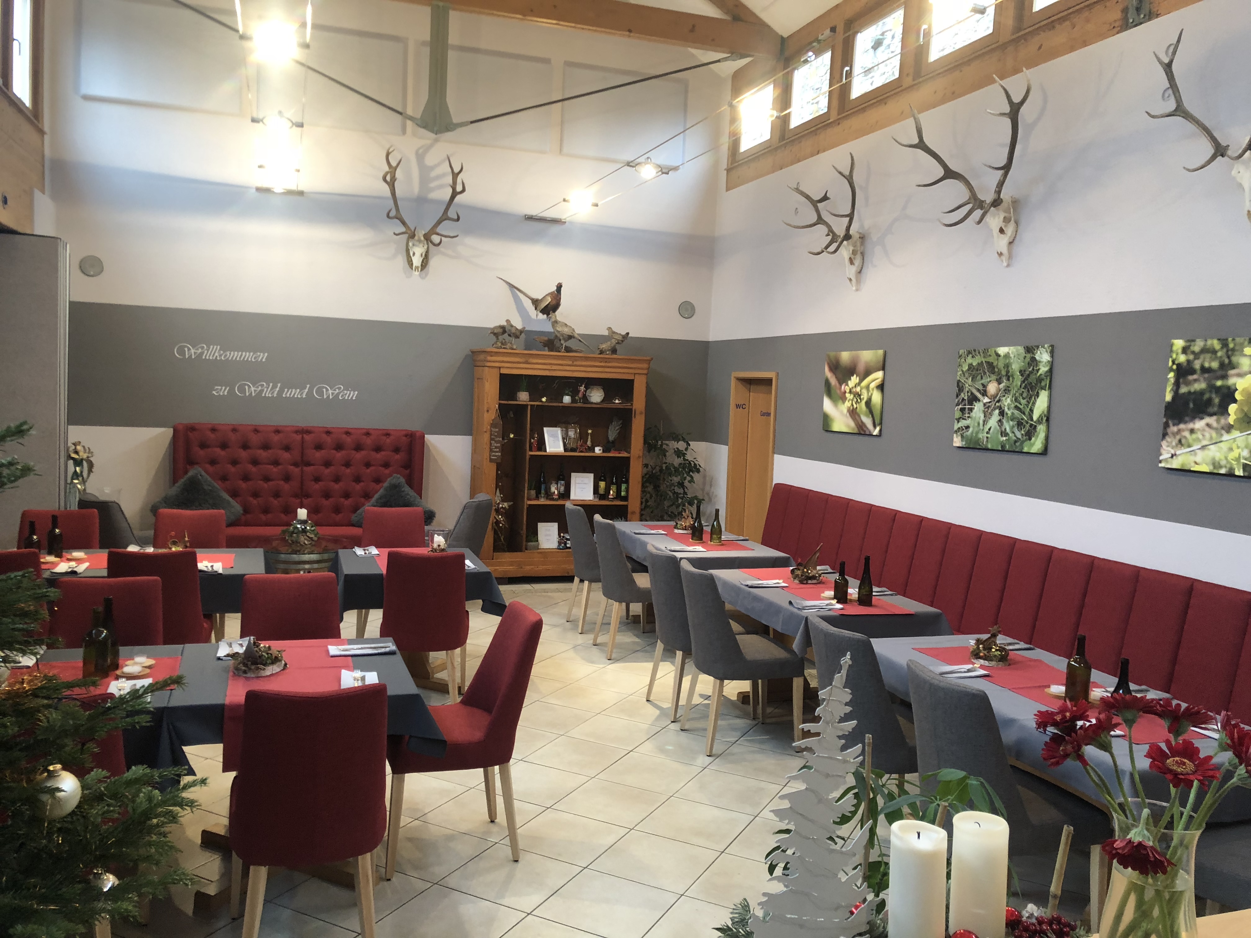 Essen-gehen - Mahlzeiten: Mittagessen - Deutschland - Tacheles Landrestaurant und Gästehaus Schmitt