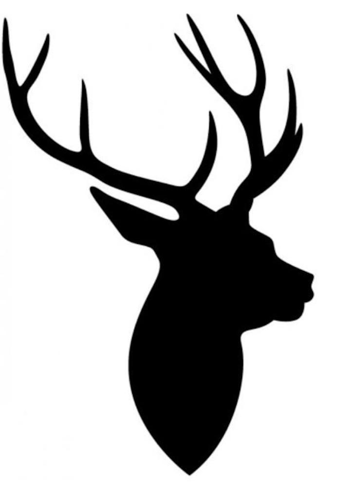 Essen-gehen - Berlin-Stadt - DER SCHMARRNKAISER 