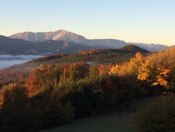 Restaurant: Schutzhaus Waxeneck