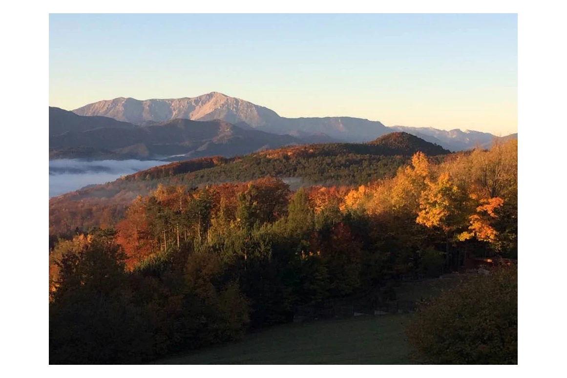 Restaurant: Schutzhaus Waxeneck
