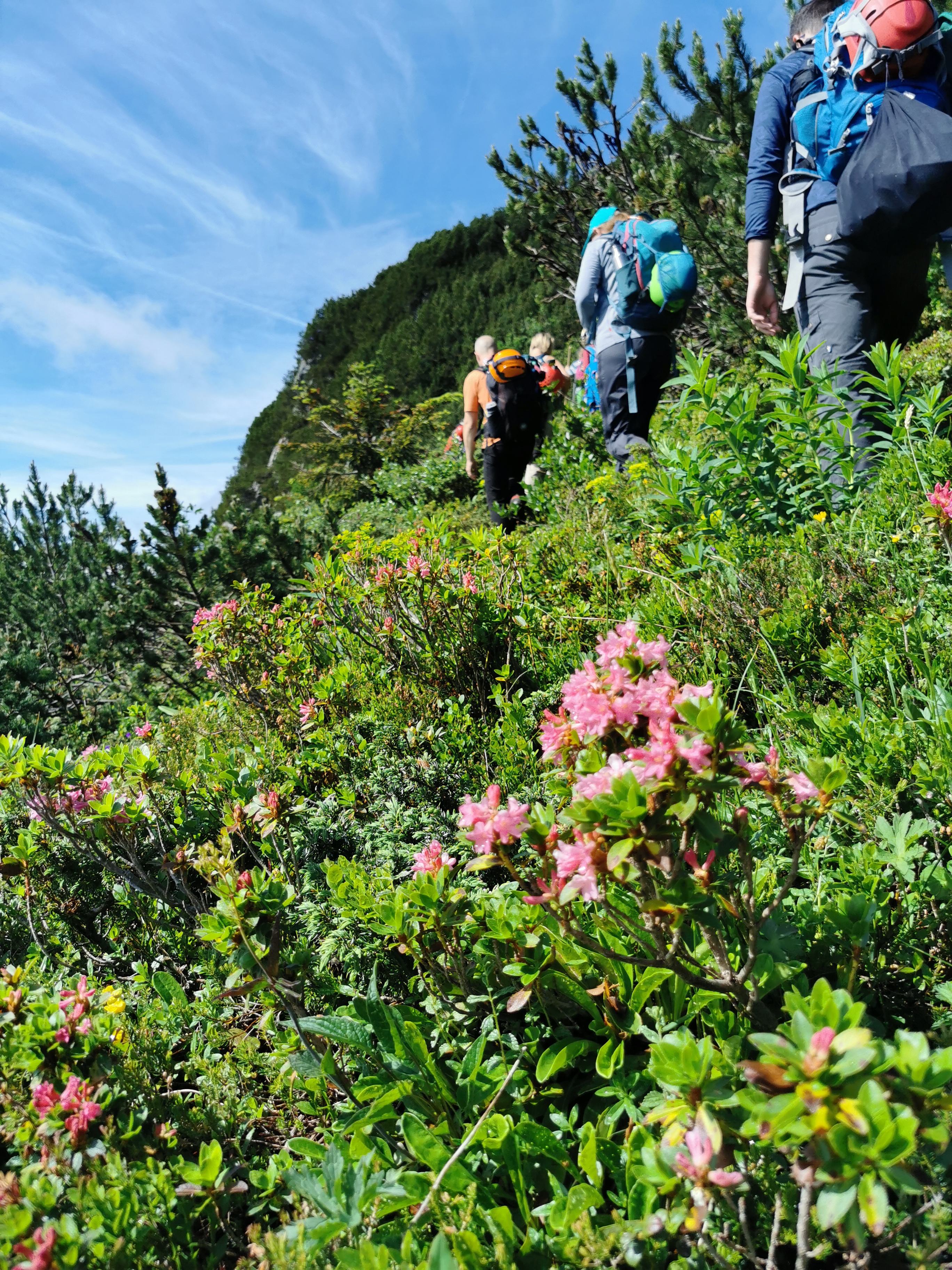 Essen-gehen - Gerichte: Fast-Food - Familienbergferien für Groß und Klein. - ÖAV Berggasthof Hollhaus
