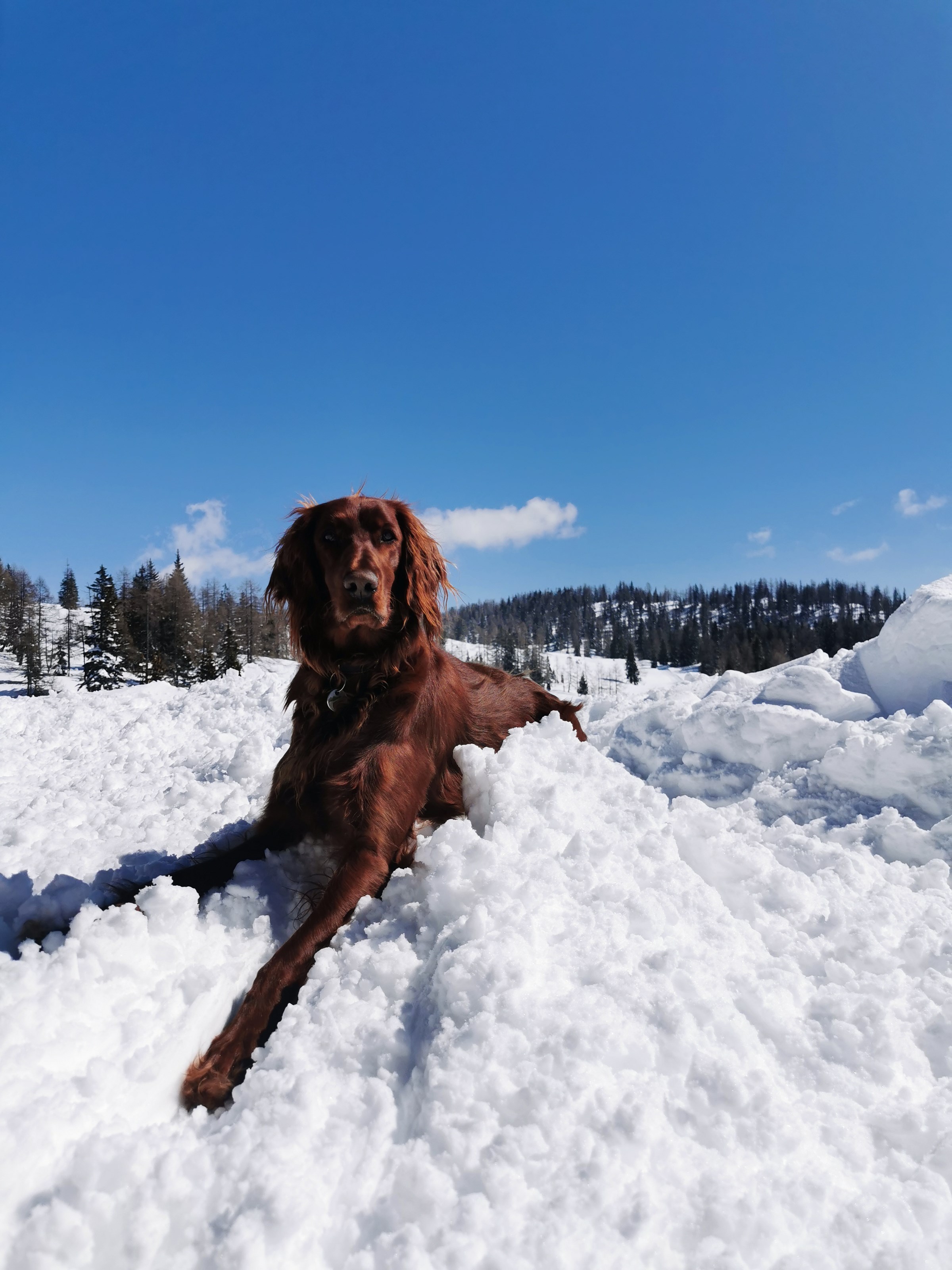 Restaurant: ÖAV Berggasthof Hollhaus