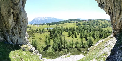 Essen-gehen - Art der Küche: österreichisch - Ausseerland - Salzkammergut - ÖAV Berggasthof Hollhaus