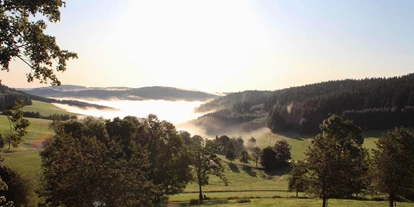 Essen-gehen - Feldberg - Ausblick vom Strauß auf das Siedelbachtal im Schwarzwald - Gasthaus zum Strauß