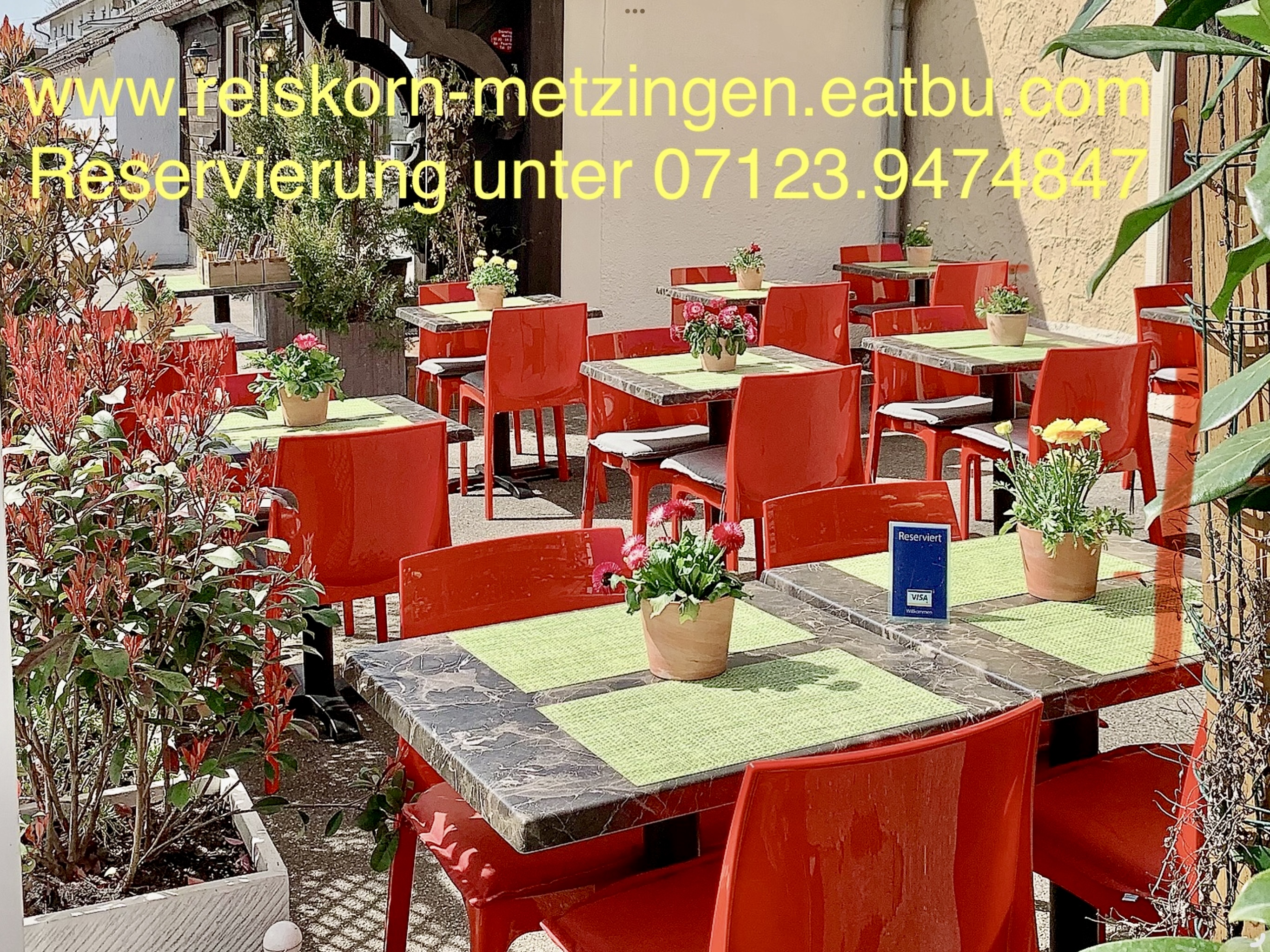 Restaurant: Vietnamesische Restaurant REISKORN Metzingen