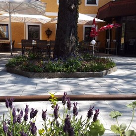 Restaurant: Unser schattiger Gastgarten mit alten Kastanienbäumen. - Gasthaus Wirt in Strass