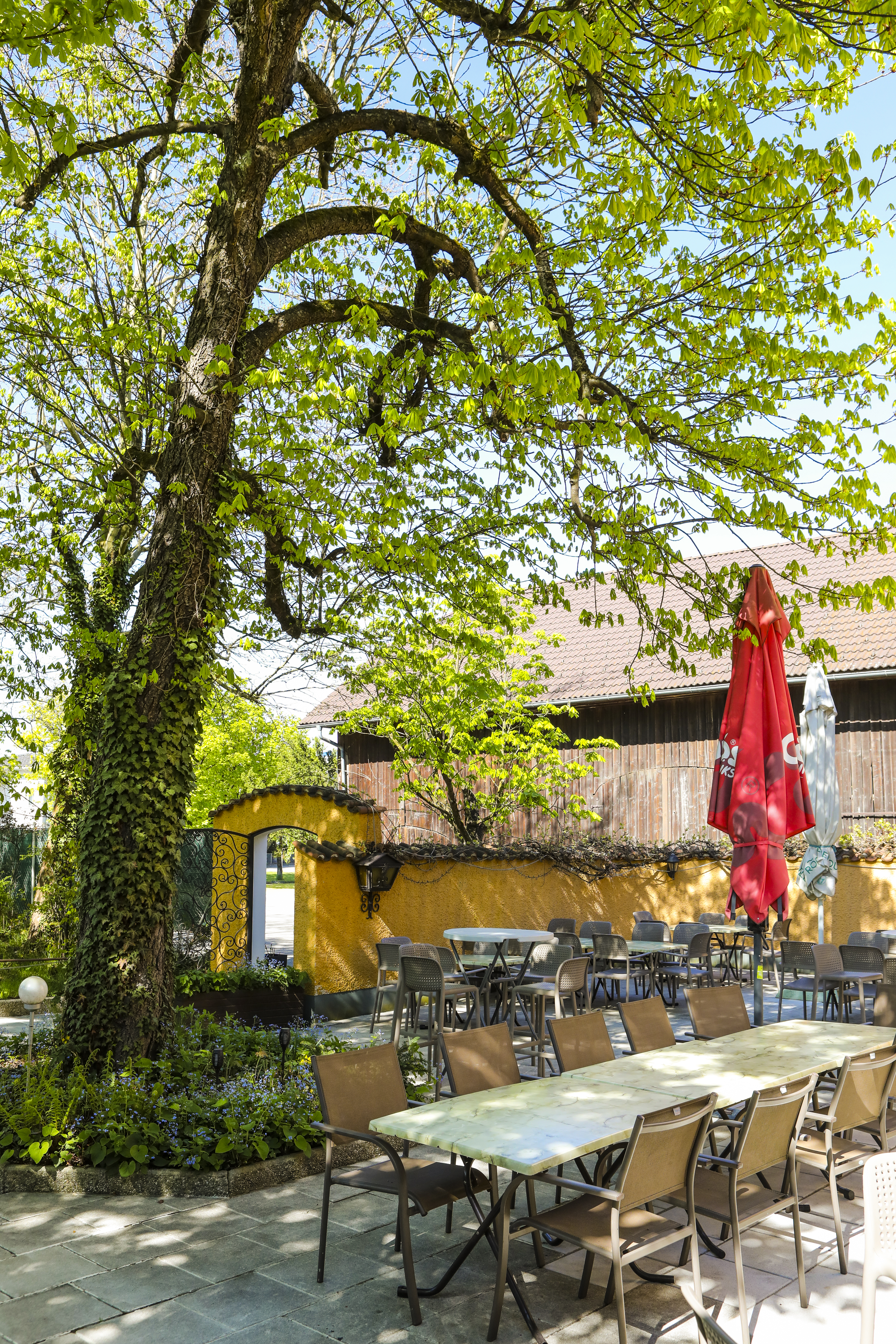 Restaurant: Gastgarteneingang - Gasthaus Wirt in Strass