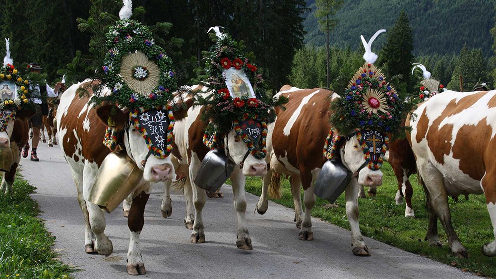 Restaurant: Kirchenwirt Maurach ganztägig warme Küche
