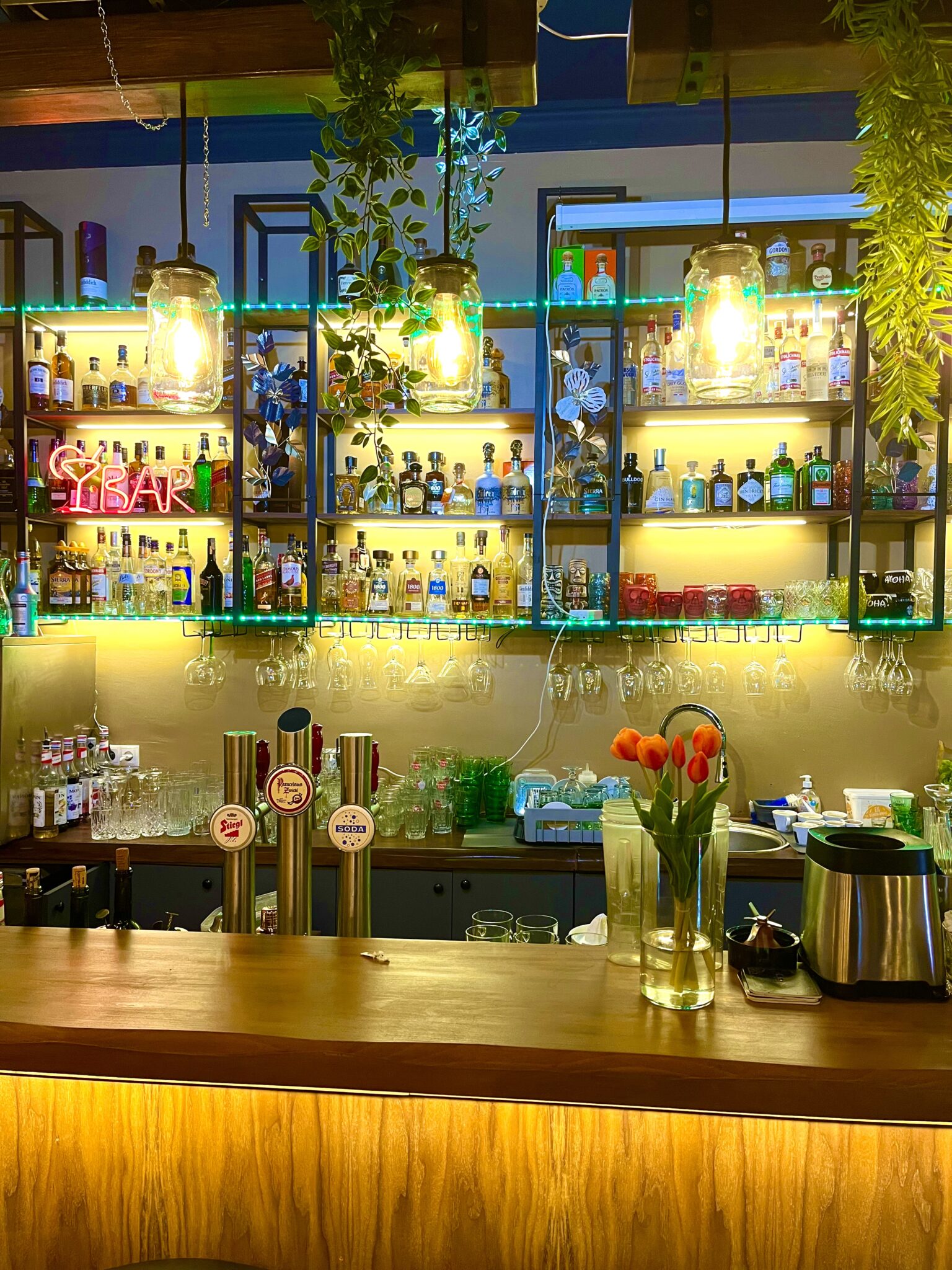 Essen-gehen - Schwechat - Bei uns wird das gemeinsame Genießen großgeschrieben! 🍜🎉 Entdeckt köstliche, authentische Aromen der Mexikanische Küche und teilt besondere Momente mit Freunden! 🥢✨ - Mosquito Mexican Restaurant & Cocktialbar