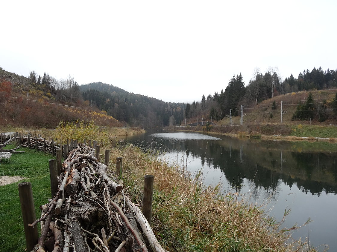 Essen-gehen - Mostviertel - Seegasthaus Ötscher-Basis