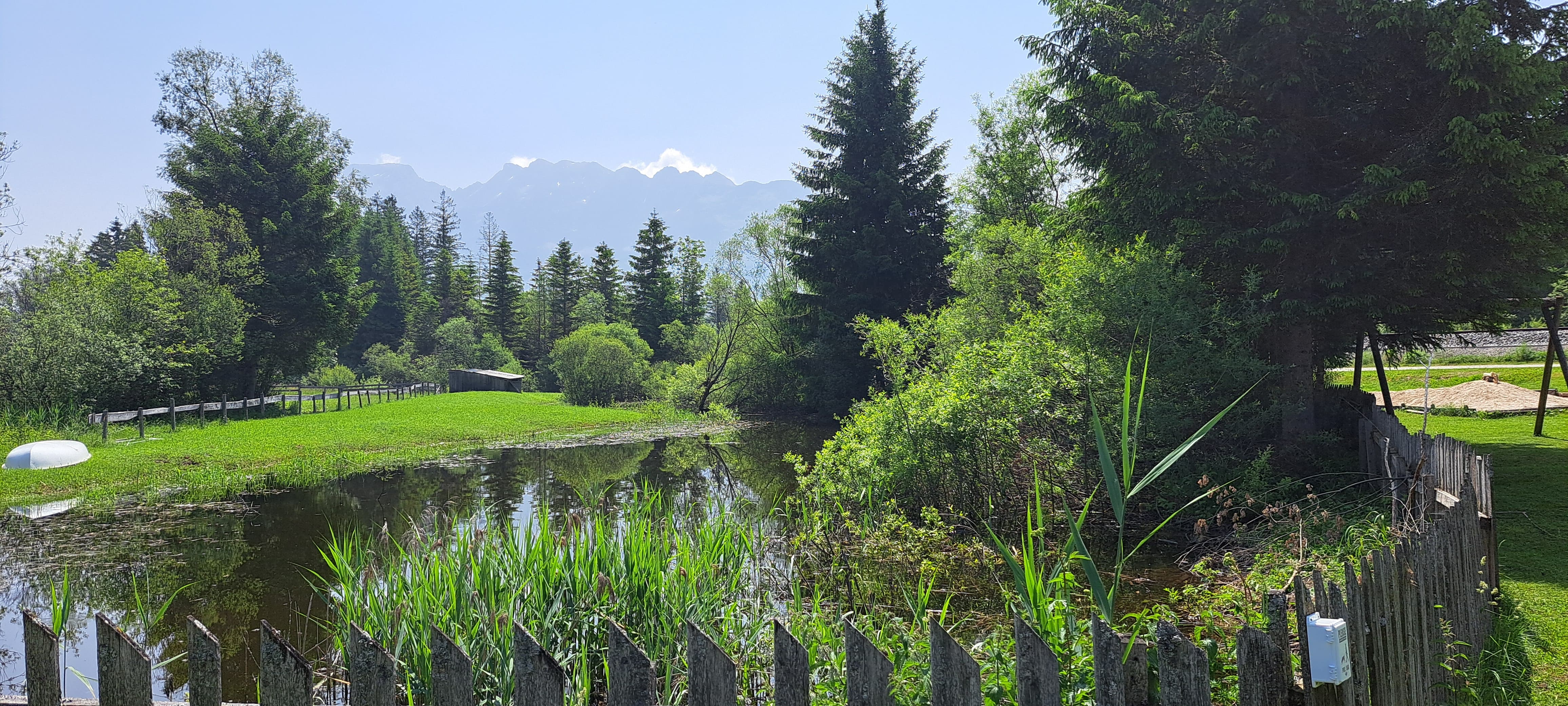 Essen-gehen - Art der Küche: österreichisch - Ausseerland - Salzkammergut - Ausblick - Eselalm