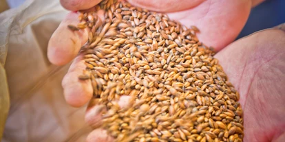 Essen-gehen - Sitzplätze im Freien - Wien Wieden - Wieden Bräu